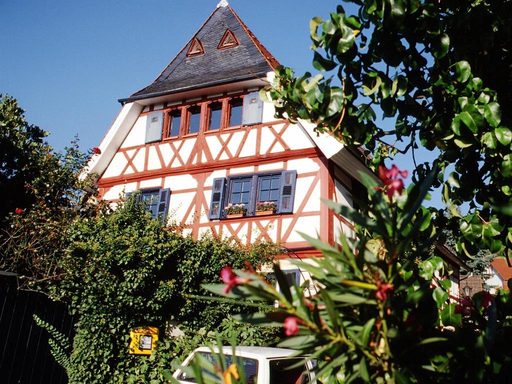 Zwingenberg  Hotel Garni Zur Bergstrasse المظهر الخارجي الصورة