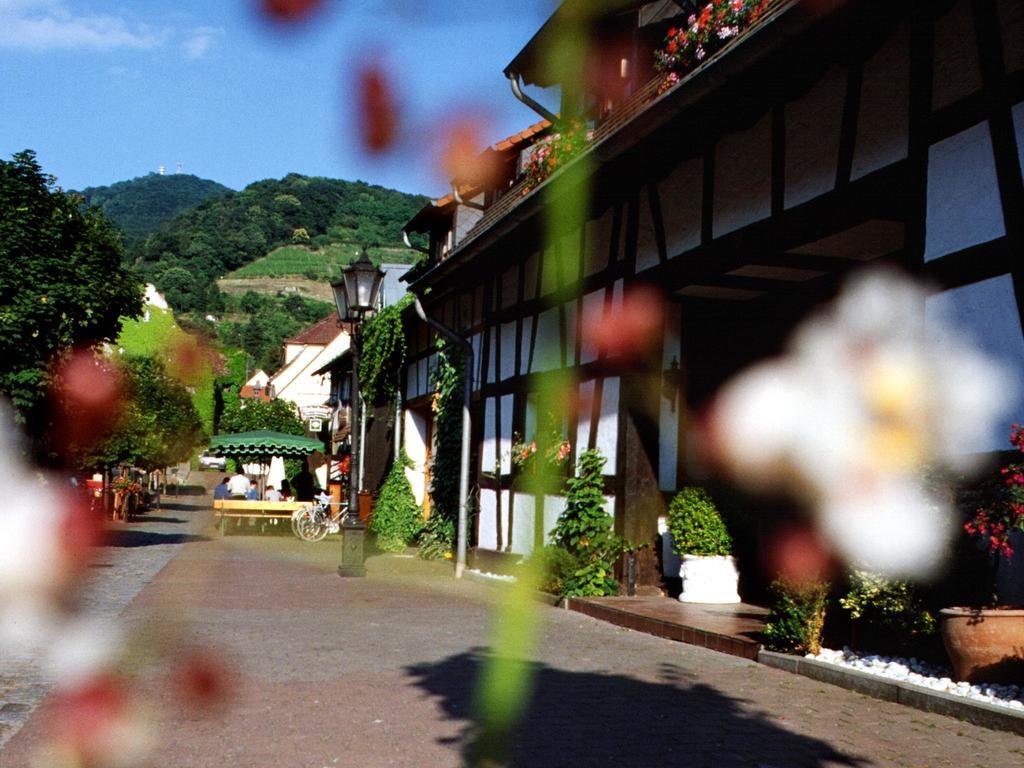 Zwingenberg  Hotel Garni Zur Bergstrasse المظهر الخارجي الصورة